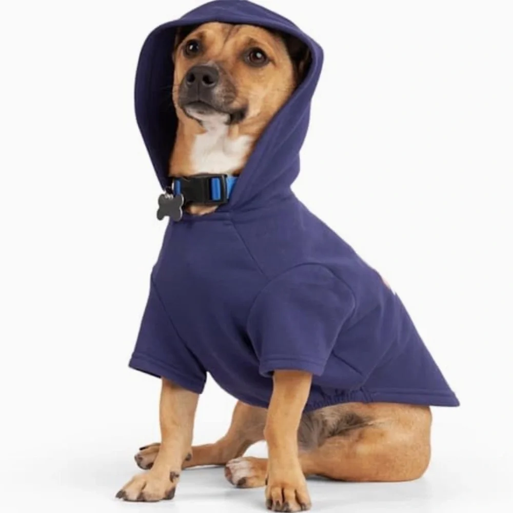 NWT Pride “You do you” dog hoodie XXL